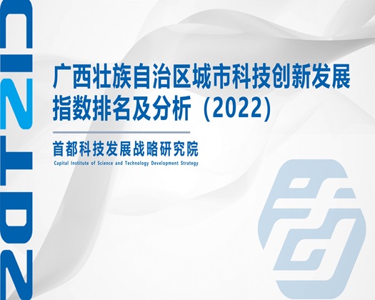 插日美女人【成果发布】广西壮族自治区城市科技创新发展指数排名及分析（2022）